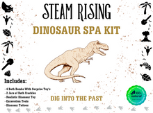 Load image into Gallery viewer, Dinosaur Spa Kit
